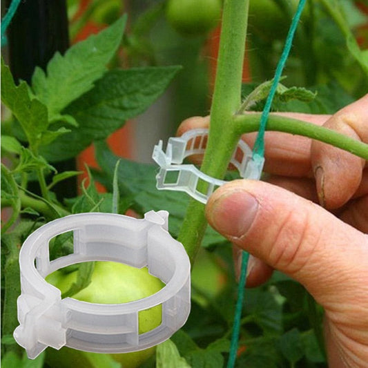 Clips de Suporte de Plástico para Prender Plantas